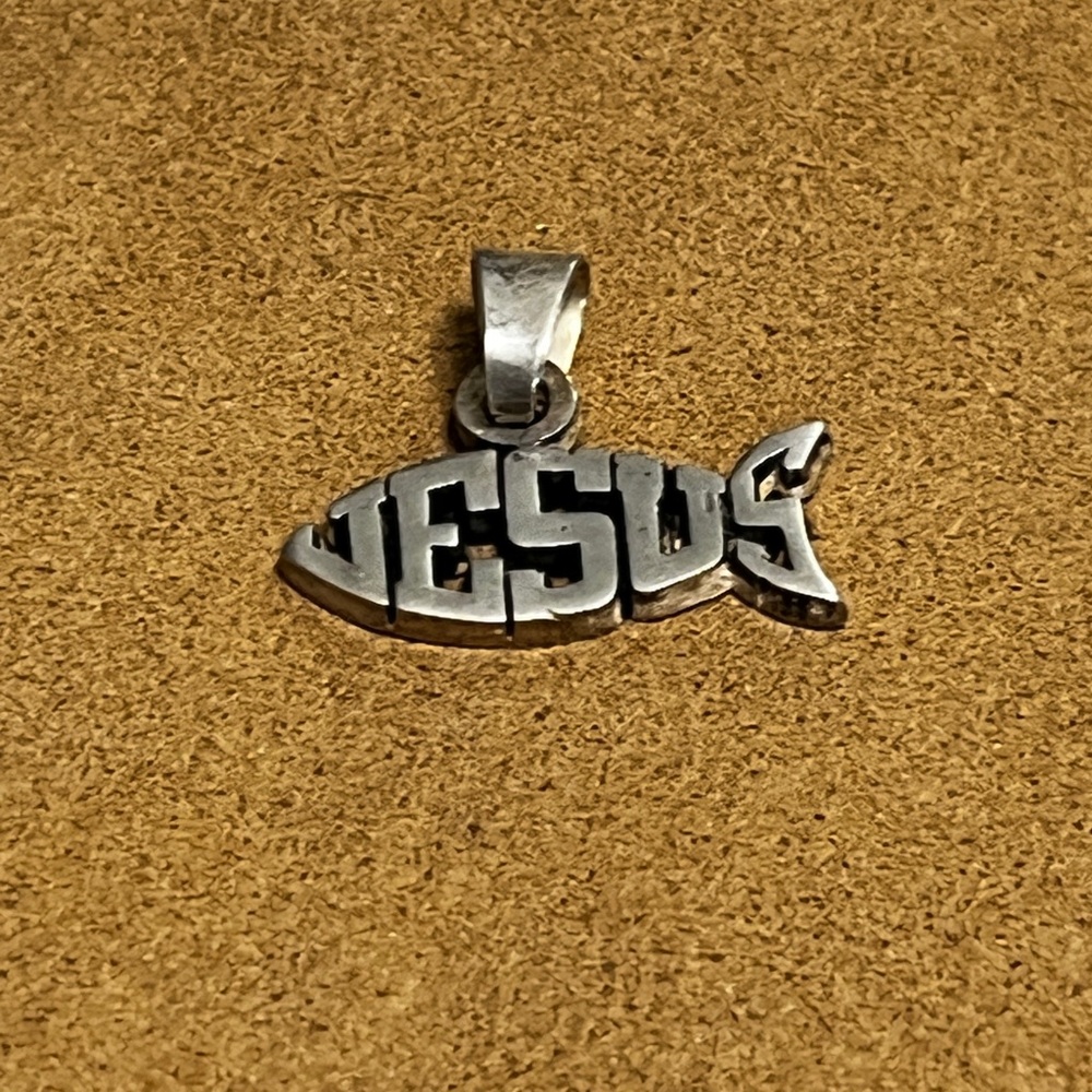 Silver Fish with Sleek Silhouette